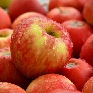 red apple fruit