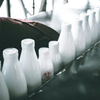Dairy